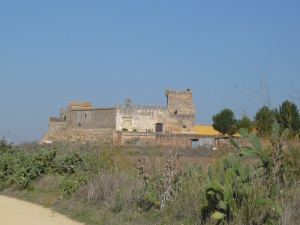 Castillo Marchenilla desde Vereda Real